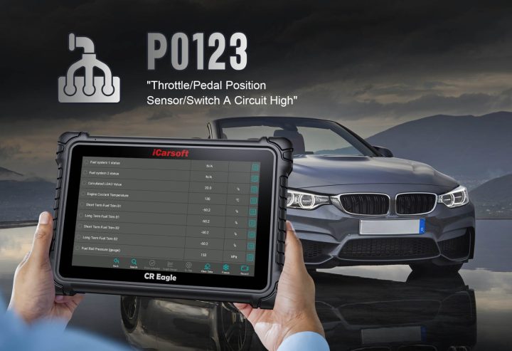 Diagnose and Clear P0123