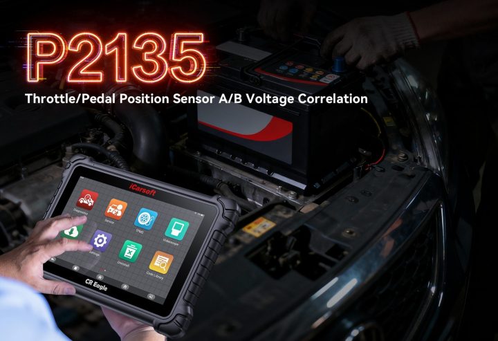 P2135 Fix